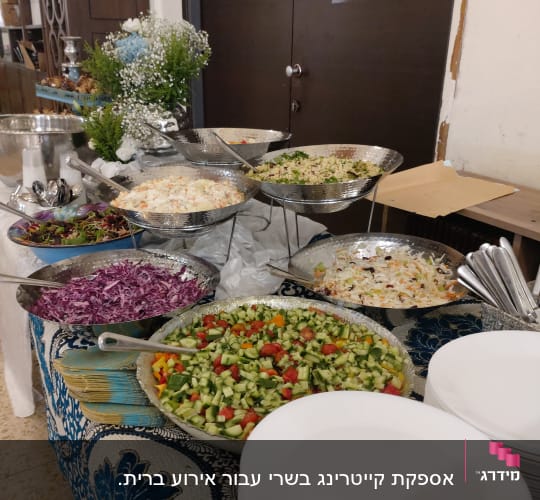 מגשי סלטים צבעוניים עם צלחות הגשה לבנות